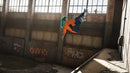 Tony Hawk's Pro Skater 1 + 2 - Cross-Gen Deluxe Bundle XBOX LIVE Key REGIÃO