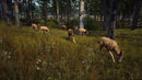 Way of the Hunter (Xbox Series X|S) Xbox Live Key REGIÃO